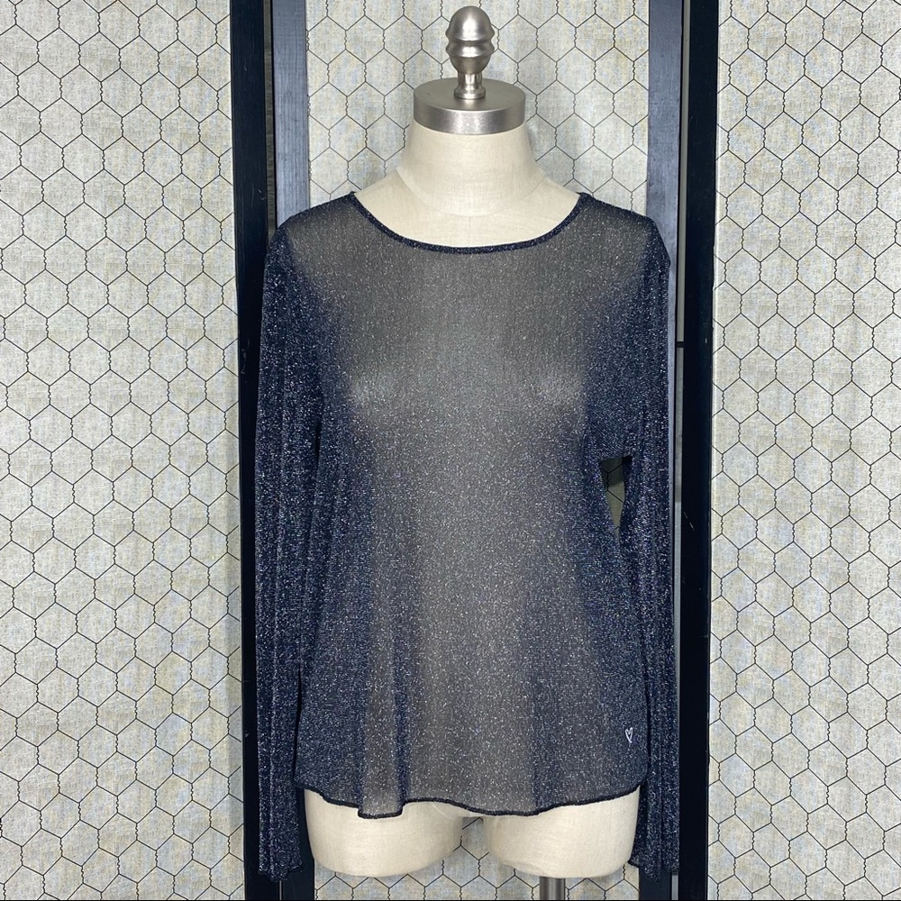 Victoria’s Secret Sheer Metallic Long Sleeve Top
